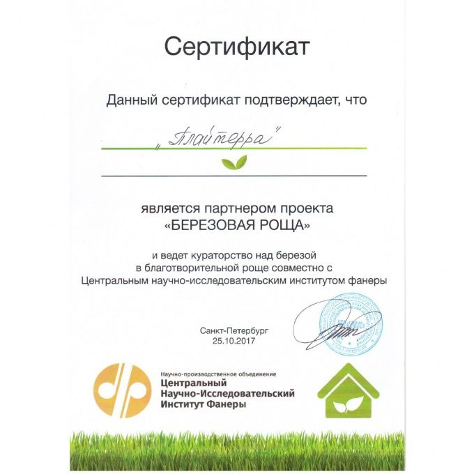 Plyterra Group has become a participant of the project «Birch grove»