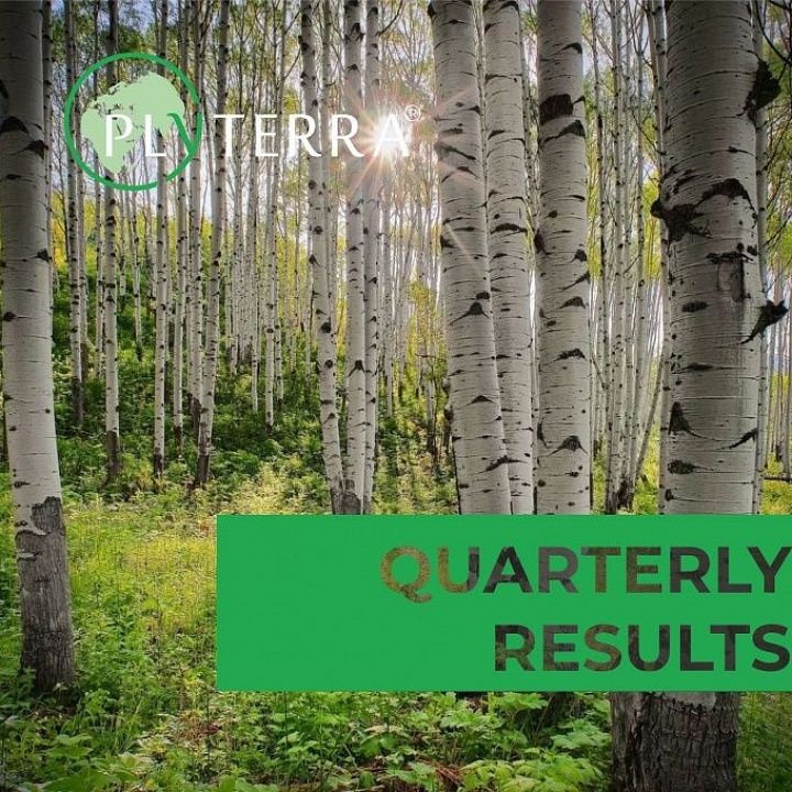 Quarterly results of Plyterra
